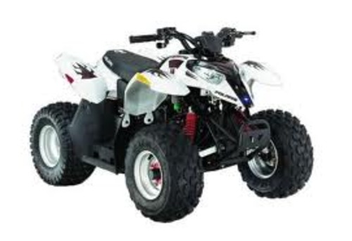Product picture The Best 2009 Polaris Youth 4Stroke Master Service Repair Ma